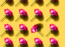 Yellow Pattern Of A Pink Rosebud. A Repeating Flower. Postcard And Photo Wallpaper