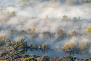 Poster - Foggy morning over the wild river 