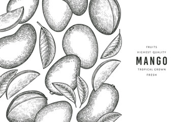 Wall Mural - Hand drawn sketch style mango banner. Organic fresh fruit vector illustration. Retro mango fruit design template