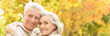 © aletia2011 - smiling senior couple  in autumn  park