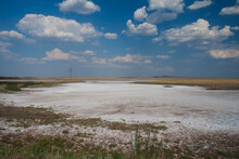 Salt Marsh In Kazakh Steppe. Summer Time.