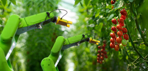 Sticker - Robot is working in greenhouse with tomatoes. Smart farming and digital agriculture 4.0
