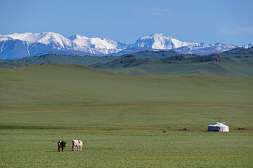 Wall Mural - Mongolian landscape