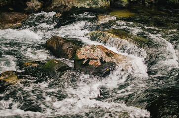 Wall Mural - Long exposure image of a creek in the mountains. 