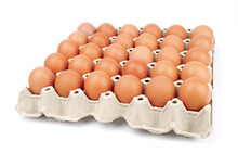Brown Chicken Eggs In The Cardboard Egg Tray With Rooms For Thirty Eggs Isolated On White Background.                  