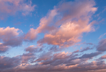 Poster - Background natural. Blue sky with pink clouds. Background natural consisting of cloudy sky. Texture with a heavenly landscape. Background with summer sky. Blue natural pattern.