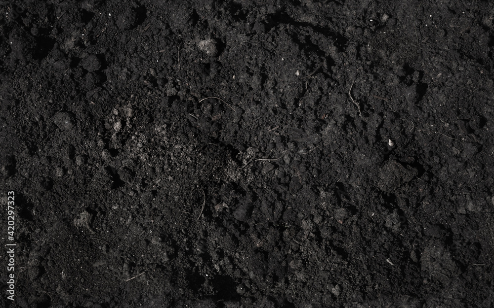 Chernozem, dark type of natural soil, seamless background - obrazy, fototapety, plakaty 