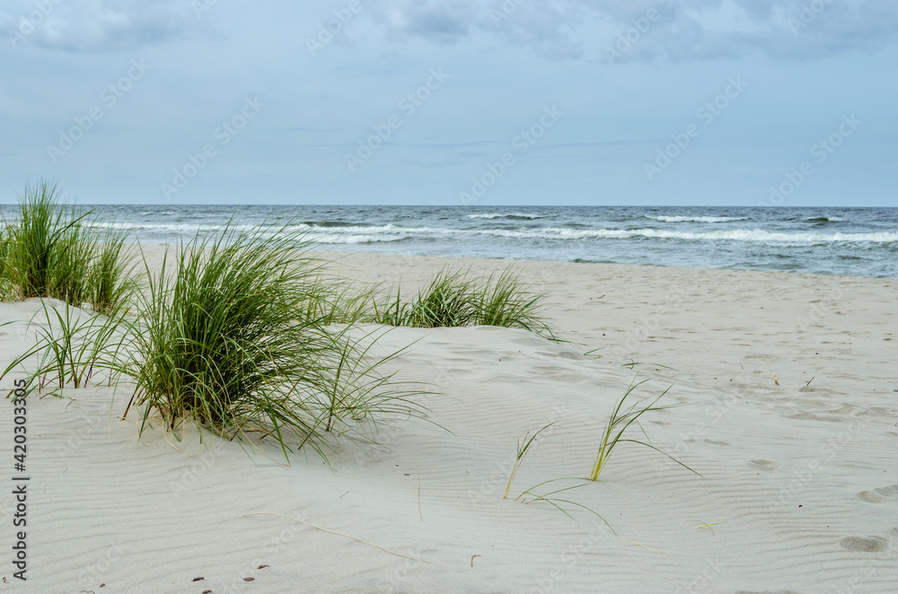 Wybrzeże bałtyckie, plaża w Krynicy Morskiej - obrazy, fototapety, plakaty 