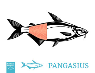 Vector pangasius fish illustration with fillet isolated on a white background