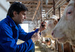 © Budimir Jevtic - Veterinarian holding syringe in front of cows in stable