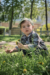 The little boy squats and collects flowers. Baby in a cap in the green grass. Bouquet of yellow dandelions. Walk in sunny weather in summer.