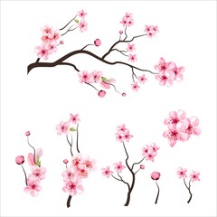 Poster - branch tree vector illustration summer clipart autumn clipart nature forest, background cherry bloss