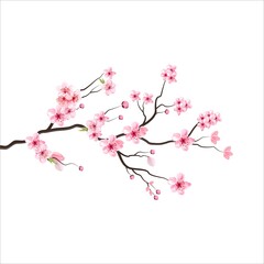 branch tree vector illustration summer clipart autumn clipart nature forest, background cherry bloss