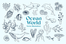 Vector Illustrations Of Various Marine Animals