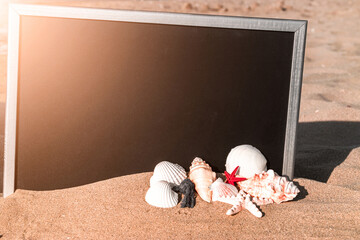 Wall Mural - Sea background. Globe, seashell, airplane and starfish near black desk on sea beach in sunny day. Exotic tropical beach with copy space.