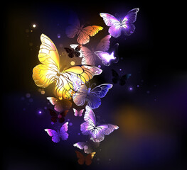 Wall Mural - Fabulous purple butterflies