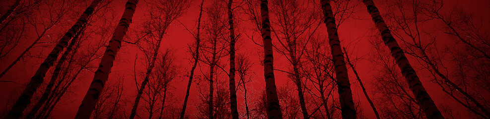 Wall Mural - bloody sunset in the forest. silhouettes of trees on a red background. horror mystic nightmare creep