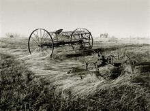 Sulky Rake. A Sepia Toned Black And White Image Of An Antique Horse Drawn Sulky Type Hay Rake Sitting In A Field Of Fallen Tall Grass. Near Kirksville, Missouri USA, 1977.