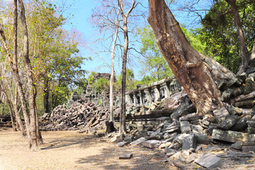 Wall Mural - Giant trees on ruin of Koh Ker complex, Cambodia