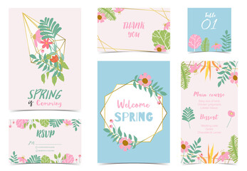 Wall Mural - Collection of spring holiday with flower.Editable vector illustration for website, invitation,postcard and banner