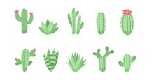 Set Of Cute Cactus And Succulents, Vector Illustration In Flat Style
