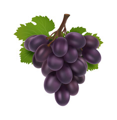 Wall Mural - black grape. 3d bunch of grapes, realistic fruit with leaves. isolated winery raw, fresh juicy natur