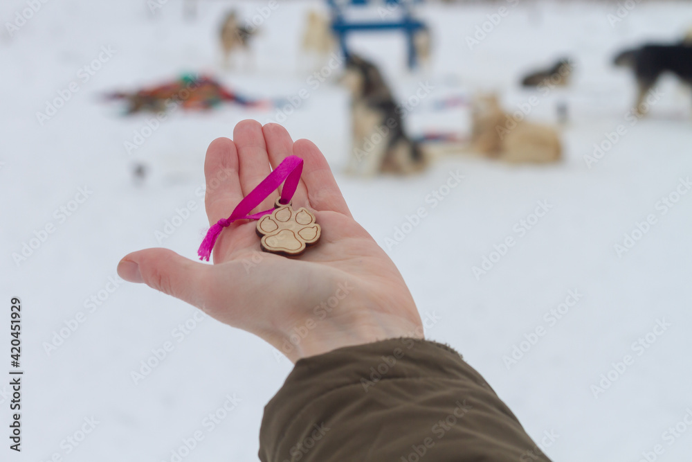 Hold in your hand a wooden keychain in the shape of a dog's paw as a ...