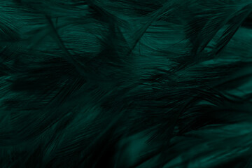 Wall Mural - Beautiful dark green viridian vintage color trends feather texture pattern background