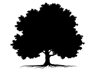 Big black tree Symbol style and white background. Can be used for your work.