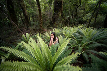 Sitting In Ferns In Mount Holdsworth Nature Reserve, New Zealand