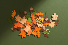 Autumn Composition. Autumn Leaves, Acorn, Nuts