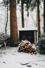 Winter Landscape With Wood Trunks In Front Of Garden Shed Covered In Snow