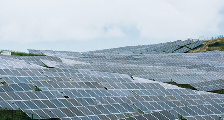 Wall Mural - A Photovoltaic Power Plant on Lush Hillside