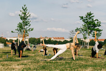 Summer Outdoor Yoga Class In City Park