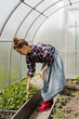 © Alina Hvostikova/Stocksy - Female farmer harvesting herbs in greenhouse