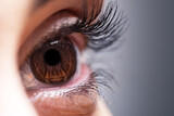 Fototapeta  - Woman brown eye, close-up