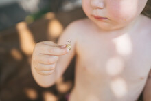 Little Kid Holding A Snail