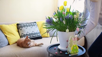 Wall Mural - Easter home decor. Woman puts spring blooming flowers in pot with hanging eggs on table in living room.