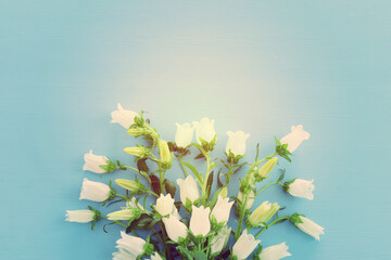 Wall Mural - spring bouquet of white bell flowers over blue background