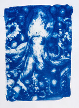 Cyanotype Print Of An Octopus