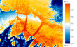 © Adam Sébire/Stocksy - Thermal imaging thermogram of global warming of natural environment, lake, plants.