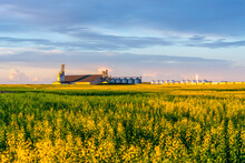 Grain Storage Bin In Sunset