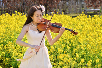 Sticker - 菜の花畑でヴァイオリンの演奏をする女性