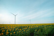 © Videophilia Stock/Stocksy - Windmill farm in a sunflowers field