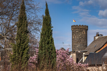 Poster - Allassac (Corrèze, France) - Tour César au printemps