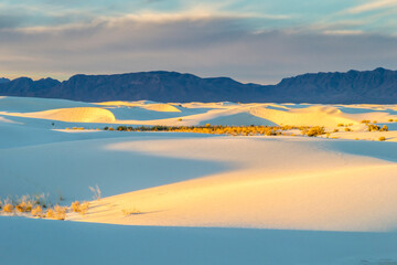 Poster - USA, New Mexico, White Sands National Park. Sand dunes at sunrise.