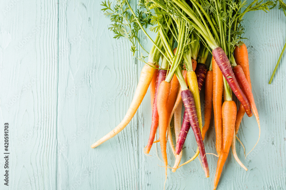 Obraz na płótnie Bunch of freshly picked rainbow carrots  w salonie