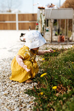 Little Girl Wearing A Yellow Dress Looking At Dandelion Flowers