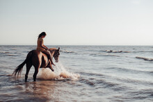 Portraits Of A Young Woman Riding Horse On A Summer Day