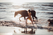 Portraits Of A Young Woman Riding Horse On A Summer Day